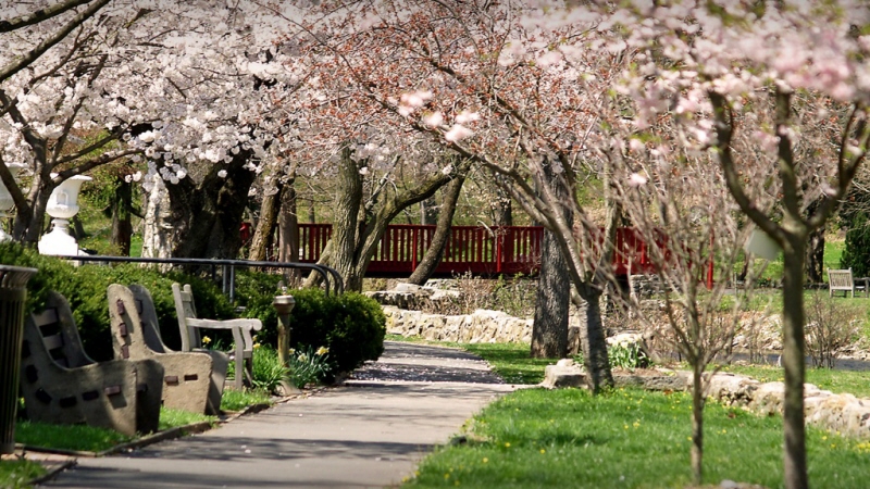 Beautiful and open outdoor walking path right outside of the Reading Public Museum