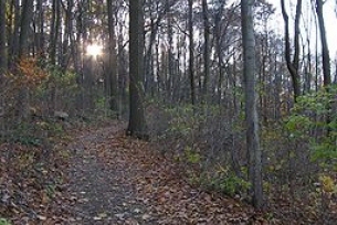 Hiking and Biking in Reading PA at Nolde Forest State Park