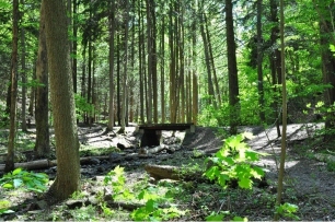 Hiking Trails in Reading Pa at Nolde Forest State Park