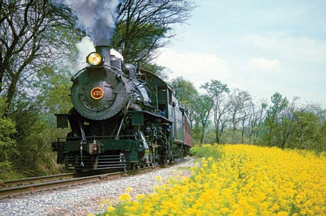 Climb aboard our larger-than-life steam train and enjoy a 45-minute, round-trip ride through the tranquil Amish countryside to Paradise, PA and back. Marvel at more than 1,000 acres of farm fields as they pass by your window. Disembark and enjoy old-fashioned fun at Groff’s Grove or Leaman Place Grove, convenient recreation areas along the train’s route for mid-way boarding or unloading. Ride aboard our First-Class Cars for an especially memorable experience.